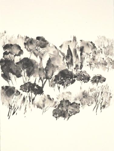 FM-L'ARBRE MONDE 1-graphite aquarellable sur Rives BFK- 56X76-2020