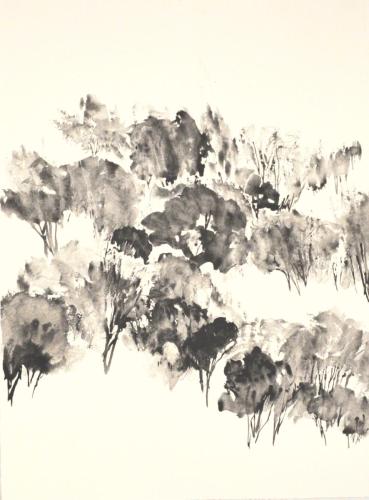 FM-L'ARBRE MONDE 2-graphite aquarellable sur Rives BFK- 56X76-2020 (2)