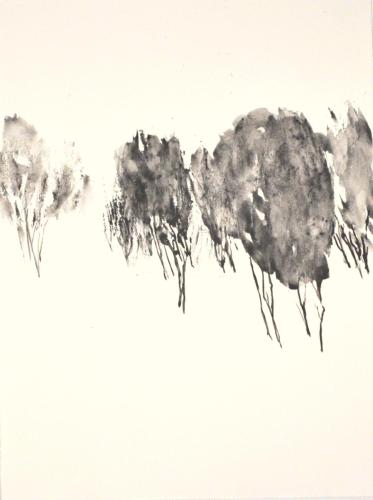 FM-L'ARBRE MONDE 3a-graphite aquarellable sur Rives BFK- 56X76-2020