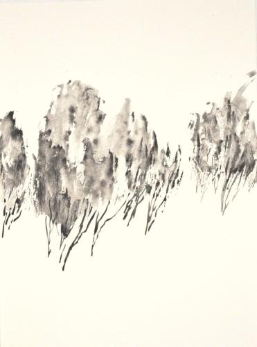 FM-L'ARBRE MONDE 3b-graphite aquarellable sur Rives BFK- 56X76-2020 hite aquarellable sur Rives BFK- 56X76-2020