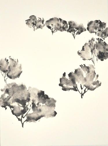 FM-L'ARBRE MONDE 4-graphite aquarellable sur Rives BFK- 56X76-2020