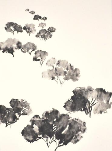 FM-L'ARBRE MONDE 5-graphite aquarellable sur Rives BFK- 56X76-2020