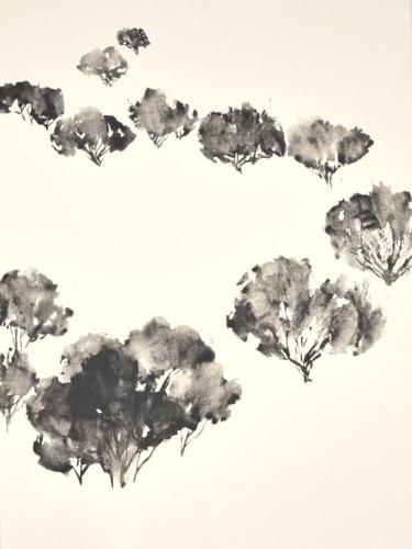 FM-L'ARBRE MONDE 6-graphite aquarellable sur Rives BFK- 56X76-2020