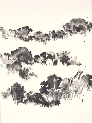 FM-L'ARBRE MONDE 7-graphite aquarellable sur Rives BFK- 56X76-2020