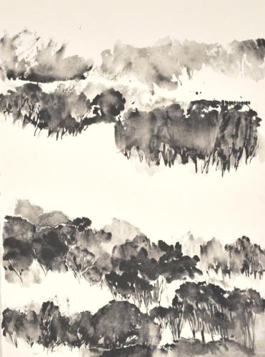 FM-L'ARBRE MONDE 8-graphite aquarellable sur Rives BFK- 56X76-2020